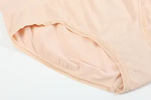 Women's 100% Organic Cotton Seamless Briefs